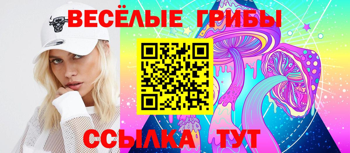 Галлюциногенные грибы мицелий Осинники