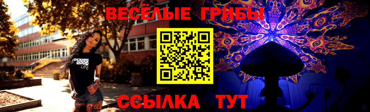 Галлюциногенные грибы мухоморы  Вход с VPN  Осинники 